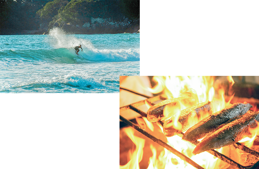 自然豊かな高知県