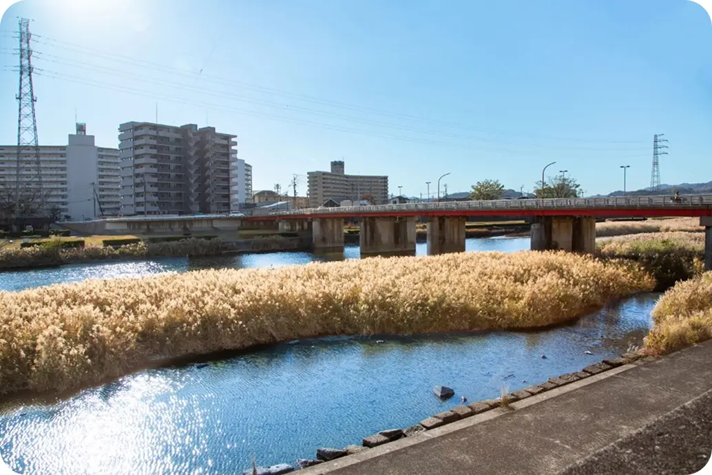 青空の下、ススキが広がる河川敷と街を繋ぐ赤い橋の風景
